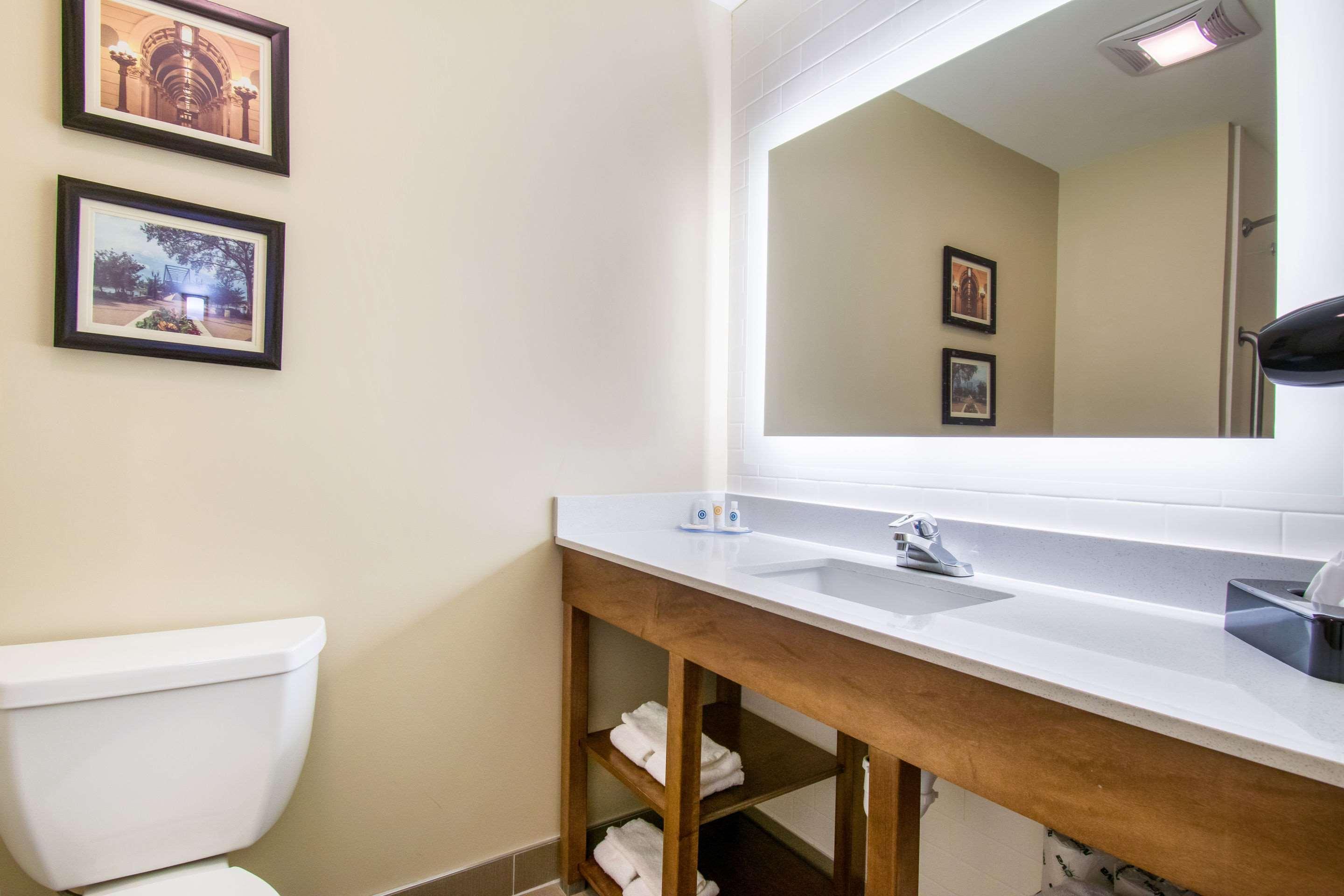Comfort Inn & Suites Harrisburg - Hershey West Dış mekan fotoğraf